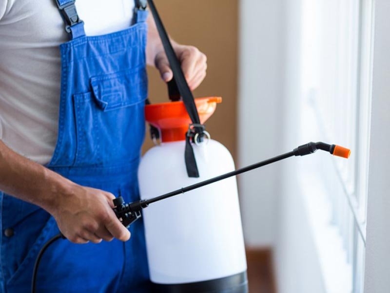 About Hamilton Pest Control