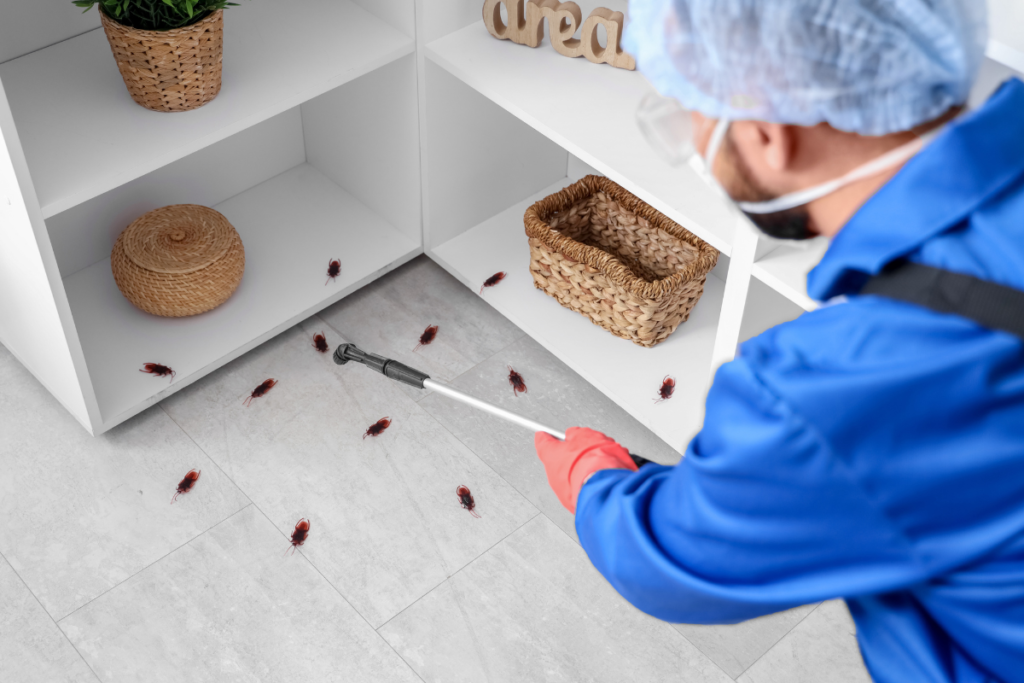 Residential Pest Control Hamilton